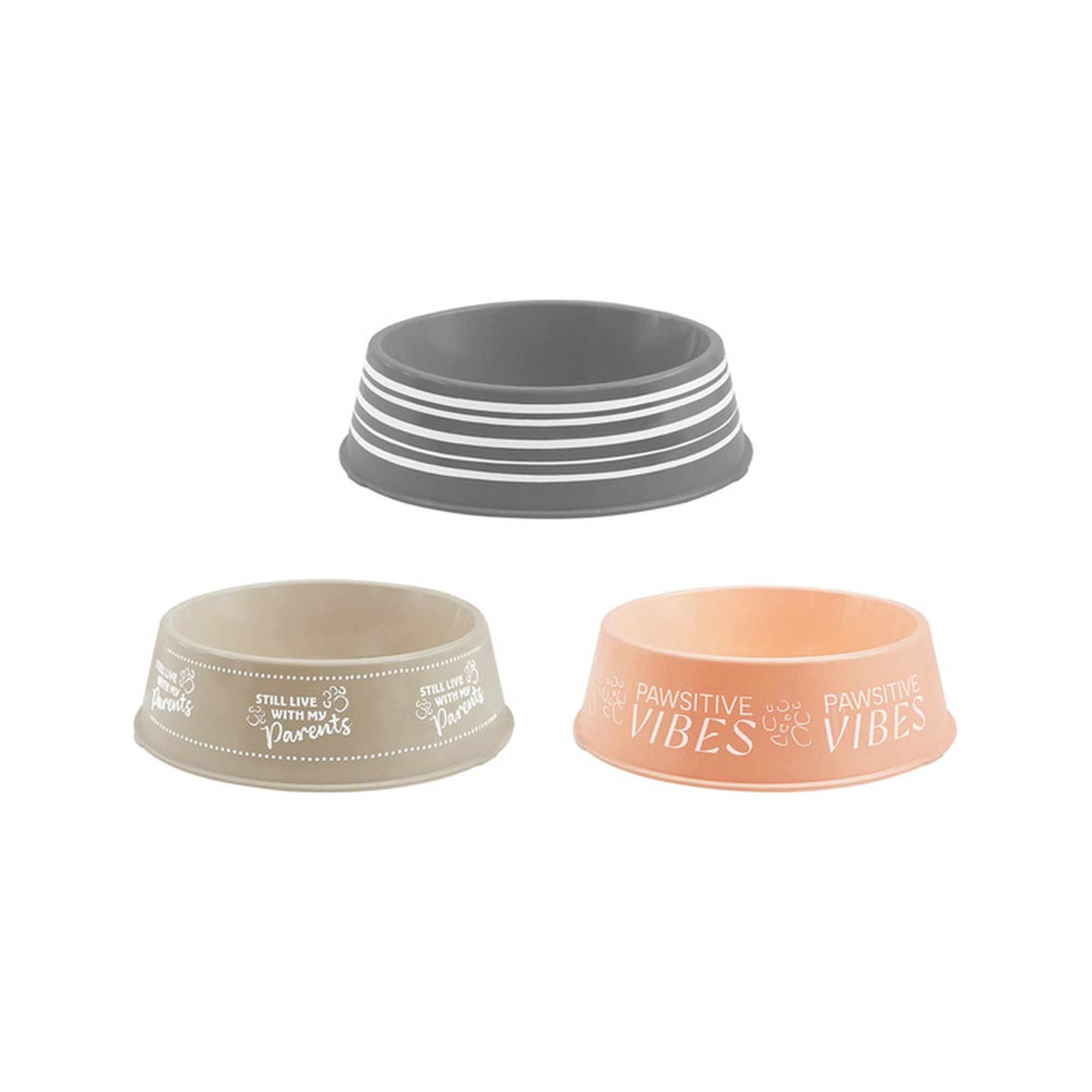 Pet Food Bowl